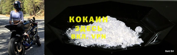дживик Арсеньев
