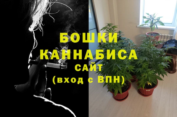 бошки Балахна
